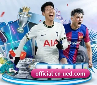 UED APP 界面